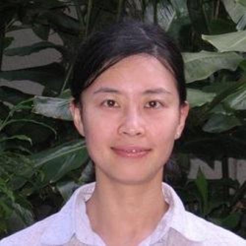 Dr. Xin Fang